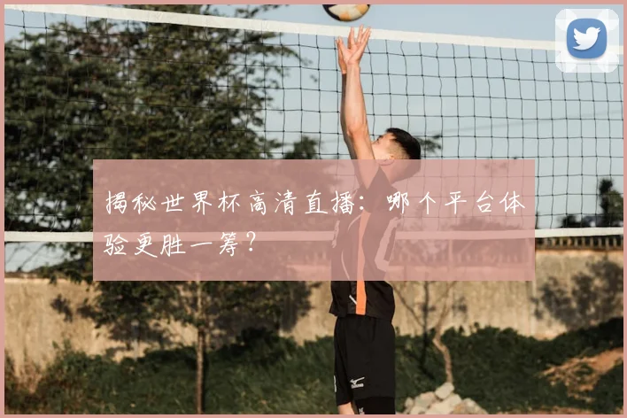 揭秘世界杯高清直播：哪个平台体验更胜一筹？
