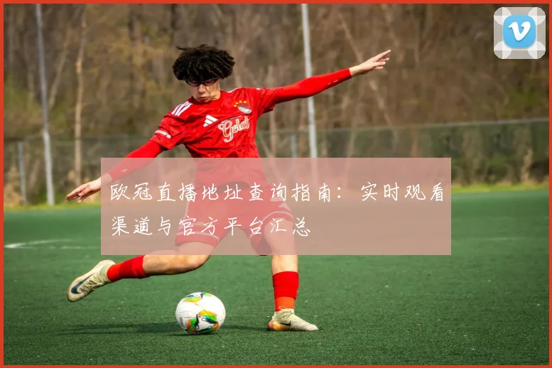 欧冠直播地址查询指南：实时观看渠道与官方平台汇总
