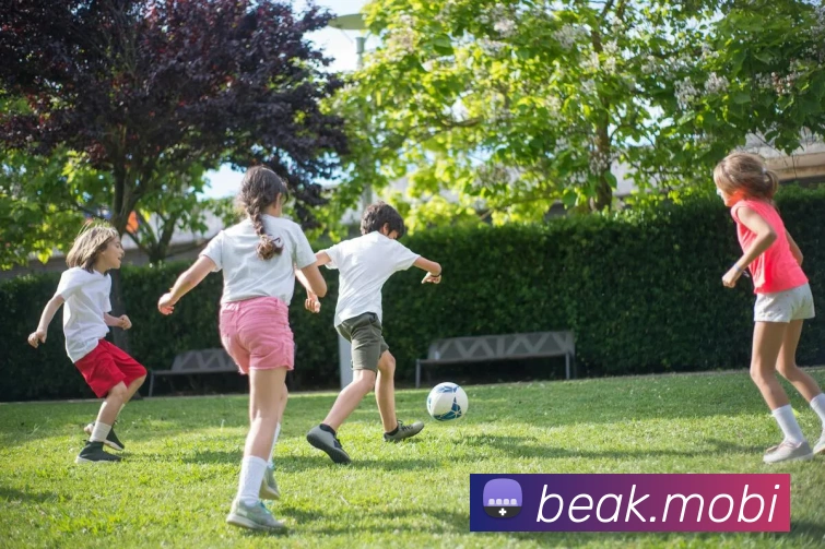 开云手机入口登录官网平台生态图